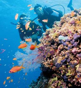 places-great_barrier_reef-cairns_tropical_north