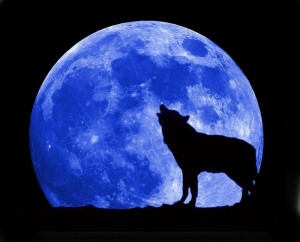 Blue-Moon-and-Wolf