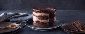 dark-chocolate-chip-cake