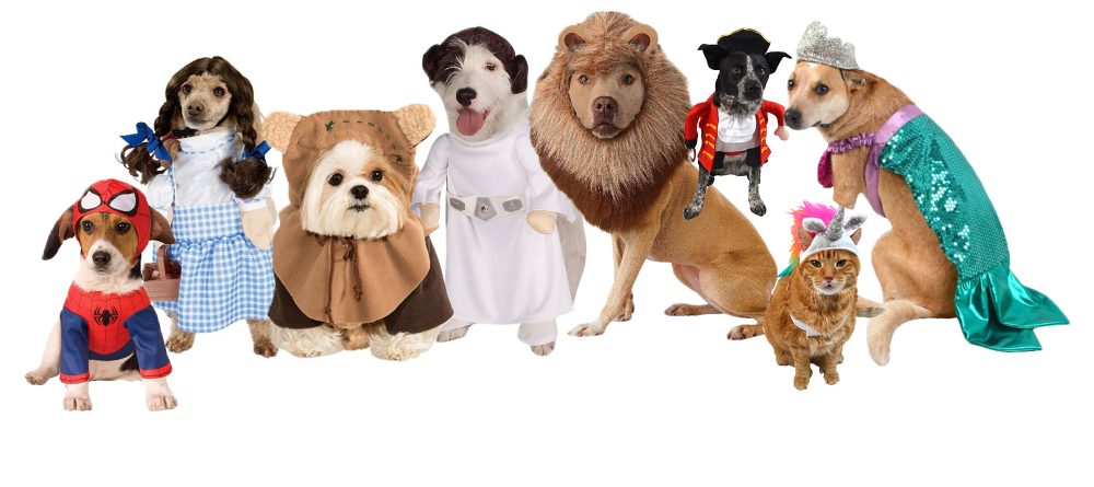 halloween-dog-costumes1