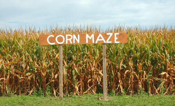 Corn_Maze_1